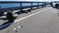 Следователи работают на месте теракта на Крымском мосту