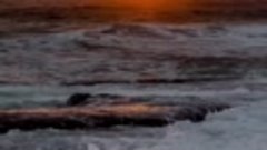 Закат на море показывает, куда уходит день...🌊 Одесса 🌊