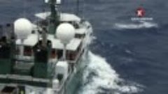 Coast Guard Florida S01E05 (2012)