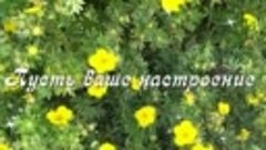 С Добрым утром! 🌸Дарите миру свои улыбки.🌸 Пусть день буде...