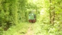 The train in the tunnel of love in Ukraine- Потяг у Тунелі к...