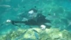 ნიკა ზღვის ქვეშ, თევზებთან ერთად, (турция - antalya)