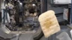 Когда космонавт решил перекусить хлебом с медом