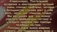 ОЧИСТИТЕ ОТ ЖИРОВЫХ БЛЯШЕК АРТЕРИИ И ВЕНЫ