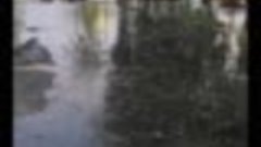 Срочно!!! Сильное Наводнение в Иркутской области, Нижнеудинс...