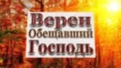 ЛЕТИТ  БЕЗЖАЛОСТНОЕ  ВРЕМЯ