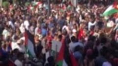 Митинг в поддержку ХАМАС в Тунисе