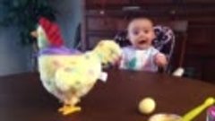 Малыш в шоке от игрушечной курицы, которая несет яйца!