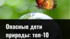 Опасные дети природы: топ-10 самых ядовитых животных на наше...