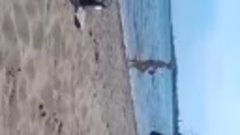 евпатория пляж солярис 16 июня 2014 г.