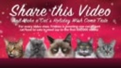 Grumpy Cat Stars in &#39;Hard To Be a Cat at Christmas&#39; Music Vi...