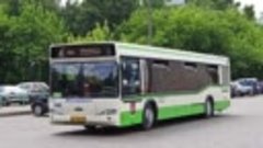 Новая масштабная модель автобуса МАЗ-103! Где можно купить С...