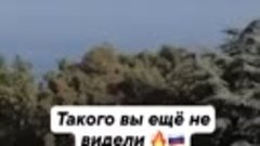 Video by Русский Медведь против Табаки (5)
