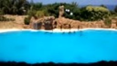 Loro Parque-Tenerife