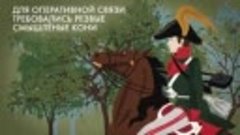 Лошадь – неизвестный герой войны 1812 года