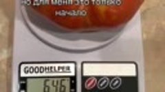 Очень хотела вырастить помидоры весом в полкилограмма. Получ...