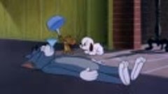 Tom and Jerry 2x23