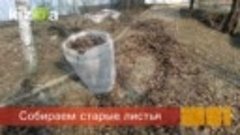 Готовим сад и огород к будущему урожаю