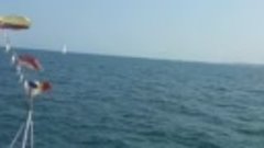 Marea Adriatica