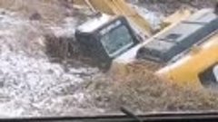 Бобры затопили дорогу в Новосибирской области, победили экск...