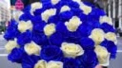 Букет синих и белых роз