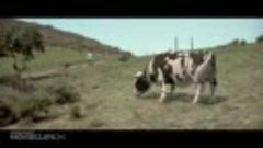 Кунг Пау_ Вступай в бой - Коровья драка (2002)