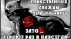 ПРЕКРАСНАЯ ПЕСНЯ - А Я ЛЮБЛЮ ТЕБЯ ТАКУЮ