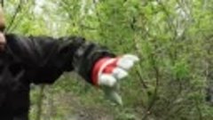 Перчатки для самообороны в лесу от медведя или волка (720p)....