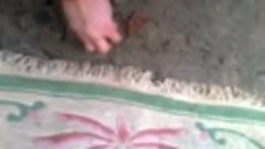чистка ковров паром