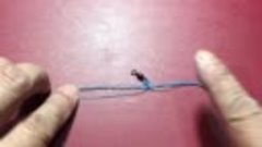 Guide Tying GINGER  knot - ncaoai47 Knot  - DIY Fishing Knot...