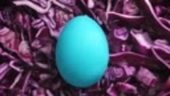 Creative Easter Egg Coloring Tips! 25 Ways to Dye Easter Egg...
