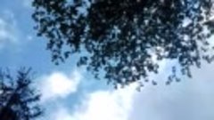 20190605_160335.mp4