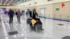 Кадры прибытия россиян из сектора Газа в аэропорт Домодедово