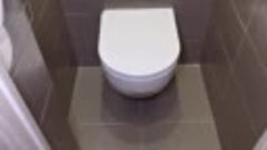 Ремонт в туалете Боголюбова 31
