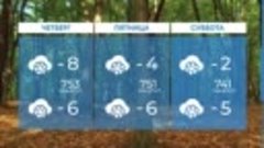 Прогноз погоды в Нижнекамске на 29-е ноября 2023 года