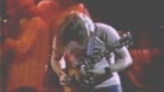 Eagles - 1977 Live In Houston