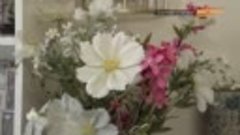 Почему в спальне Рубальской стоят искусственные цветы