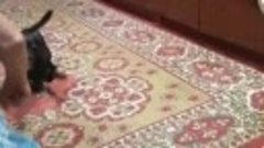 VID-20231017-WA0001.mp4