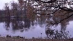 Поздняя осень в Екатерининском парке. Царское село (Пушкино)