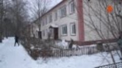 В Нижегородской области спилили ель, за которой 60 лет ухажи...