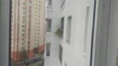 Безопасны ли подобные насаждения за балконом? 