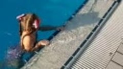 Сашенька плывёт в глубоком  3 м бассейне 