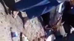 авария на трасе шымкет казгурт туркестанская обл юко