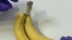 Продлеваем срок хранения бананов