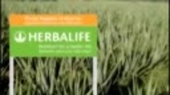 Производство продуктов Herbalife с ведущими экспертами в обл...
