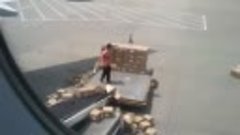 Как разгружают багаж в аэропортах