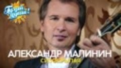 Александр Малинин - Сизокрылая - Новые песни