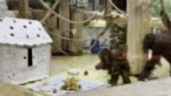 5-летнему орангутану Оле в Калининградском зоопарке подарили...