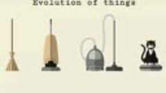 Evolution of Things