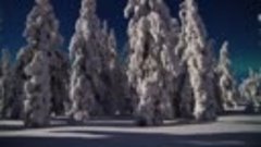 The Amazing Northern Lights (Aurora Borealis) - FINLAND